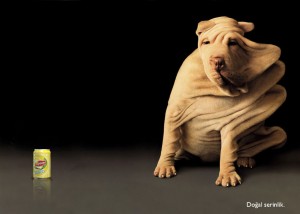 lipton serinlik lipton serinlik