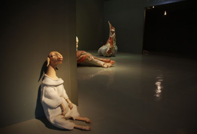 Cao-Hui-deri-et-kan-nolmus-14.jpg